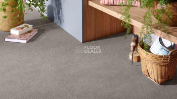 Vorwerk Superior 1072/Nutria Comfort Vorwerk 5x61 фото 2 | FLOORDEALER