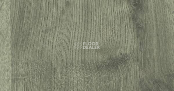 Ламинат Haro Daily Edition 7 mm ДУБ КАЛЛА СЕРЫЙ 541341 фото 1 | FLOORDEALER