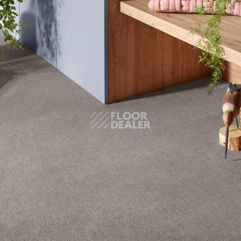 Vorwerk Superior 1072/Nutria Comfort Vorwerk 5x61 фото 2 | FLOORDEALER