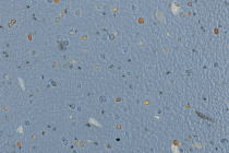 Forbo SureStep Original 172212 china blue фото 2 | FLOORDEALER