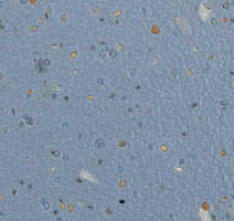 Forbo SureStep Original 172212 china blue фото 2 | FLOORDEALER