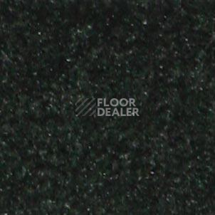 Ковролин Shaw all That Jazz 21316 фото 1 | FLOORDEALER