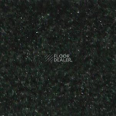 Ковролин Shaw all That Jazz 21316 фото 1 | FLOORDEALER