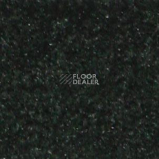 Ковролин Shaw all That Jazz 21316 фото 1 | FLOORDEALER
