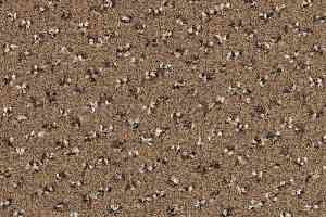 Ковровая плитка Desso Trapez 2043 фото  | FLOORDEALER