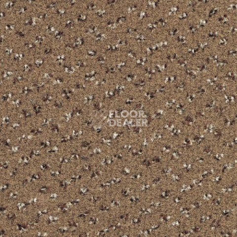 Ковровая плитка Desso Trapez 2043 фото 1 | FLOORDEALER