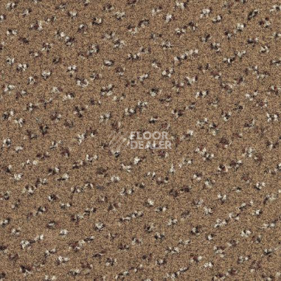 Ковровая плитка Desso Trapez 2043 фото 1 | FLOORDEALER