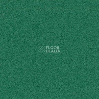 Линолеум Primo Plus Marine 312 фото 1 | FLOORDEALER