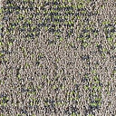 Ковровая плитка Neuflor Desert 600905 + New Leaf  | FLOORDEALER