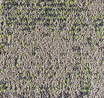 Ковровая плитка Neuflor Desert 600905 + New Leaf фото 1 | FLOORDEALER