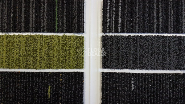 Ковровая плитка Interface Razzle Dazzle - Strike A Light Razzle Dazzle All фото 1 | FLOORDEALER