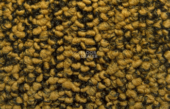 Balsan Progression 340 фото 2 | FLOORDEALER