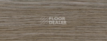 Плинтус Dollken EP 60/13 2564 фото 2 | FLOORDEALER