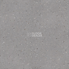 Линолеум Tarkett iQ Lyra 502 фото 1 | FLOORDEALER