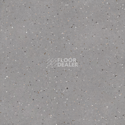 Линолеум Tarkett iQ Lyra 502 фото 1 | FLOORDEALER
