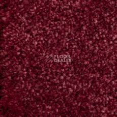 Ковролин AW Masquerade Euphoria 11 фото 1 | FLOORDEALER