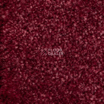 Ковролин AW Masquerade Euphoria 11 фото 1 | FLOORDEALER