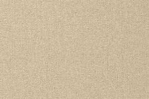 Ковролин Vorwerk Passion 1005 Vorwerk 8j03 фото  | FLOORDEALER