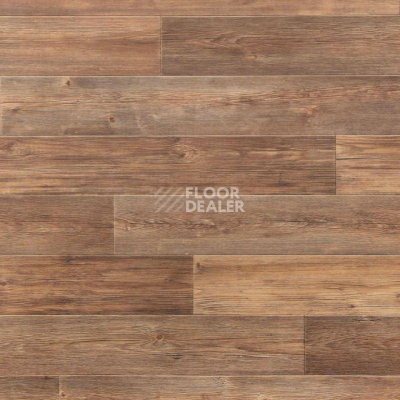 Линолеум Tarkett Весна TORONTO_2 фото 1 | FLOORDEALER