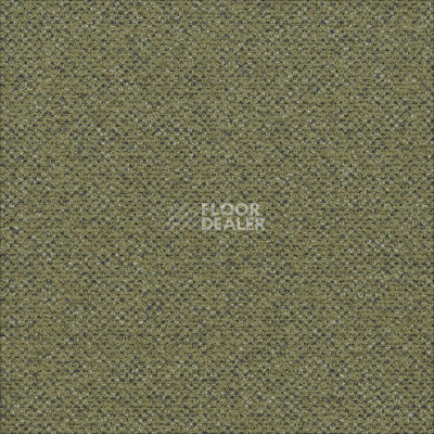 Ковровая плитка Desso Solid ac 73 7854 фото 1 | FLOORDEALER