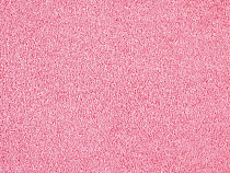 Ковролин ITC Carpe Diem Carpe Diem 060 фото 1 | FLOORDEALER