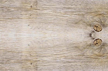 Пробковое покрытие Wood замковое SIBIRIAN LARCH LIMEWASHED фото 1 | FLOORDEALER