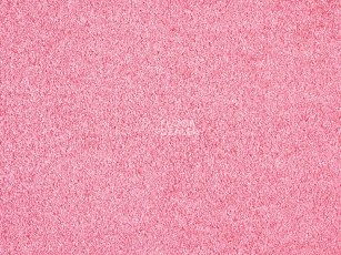 Ковролин ITC Carpe Diem Carpe Diem 060 фото 1 | FLOORDEALER