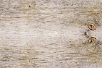 Пробковое покрытие Wood замковое SIBIRIAN LARCH LIMEWASHED фото 1 | FLOORDEALER