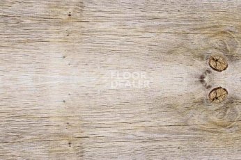 Пробковое покрытие Wood замковое SIBIRIAN LARCH LIMEWASHED фото 1 | FLOORDEALER