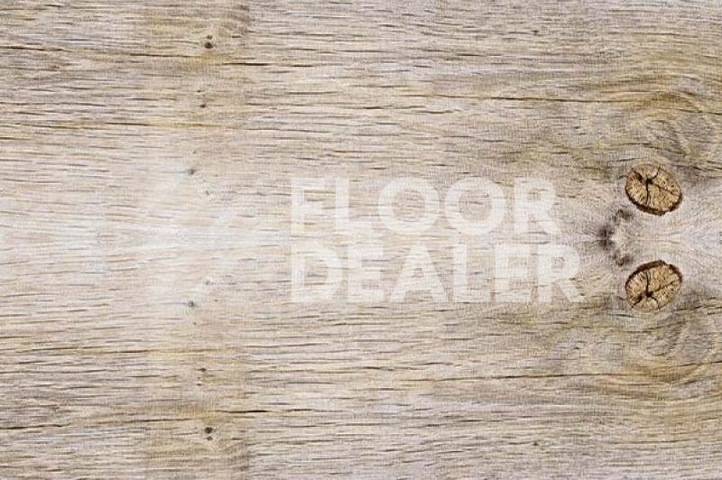 Пробковое покрытие Wood замковое SIBIRIAN LARCH LIMEWASHED фото 1 | FLOORDEALER