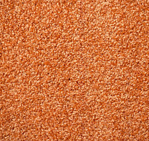 Зартекс Кидс