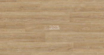 Ламинат Haro Tritty 100 Gran Via 4V ДУБ ЭЛЕГАНЗА ПУРО 541517 фото 1 | FLOORDEALER