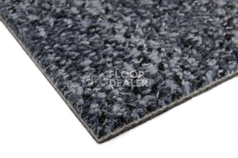 Balsan Take a Walk 970 Take a Walk фото 6 | FLOORDEALER