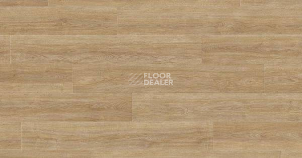 Ламинат Haro Tritty 100 Gran Via 4V ДУБ ЭЛЕГАНЗА ПУРО 541517 фото 1 | FLOORDEALER