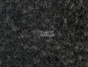 Forbo Coral Classic 4750 Warm Black фото 2 | FLOORDEALER