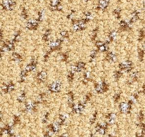 Ковролин Balsan Lounge Lounge 610 фото 1 | FLOORDEALER