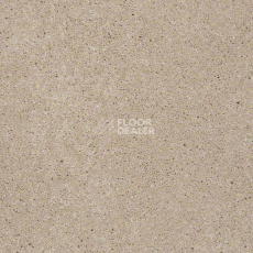 Ковролин Shaw Design Texture Platinum 111 фото 1 | FLOORDEALER
