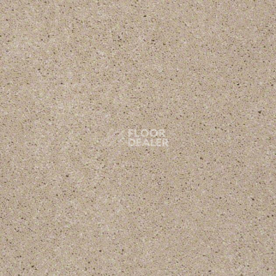 Ковролин Shaw Design Texture Platinum 111 фото 1 | FLOORDEALER