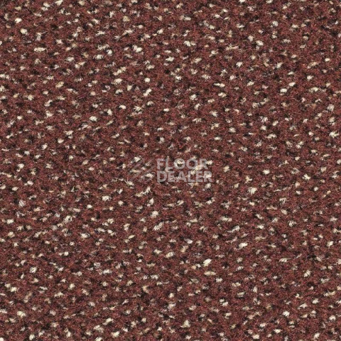 Ковролин Balsan Equinoxe 747 фото 1 | FLOORDEALER