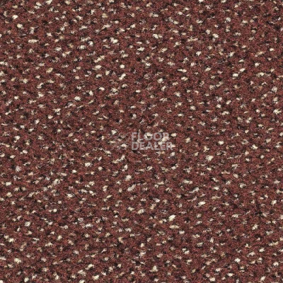 Ковролин Balsan Equinoxe 747 фото 1 | FLOORDEALER