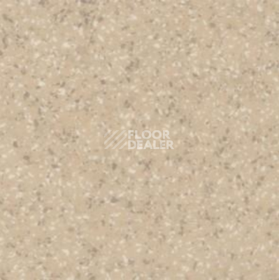 Линолеум Tarkett Acczent Mineral As Grit 2 фото 1 | FLOORDEALER