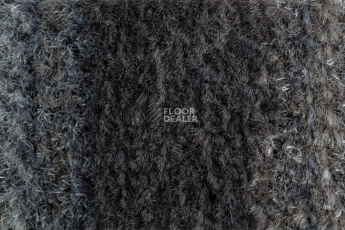 Coral Interior 1521 Alpine Peak фото 3 | FLOORDEALER