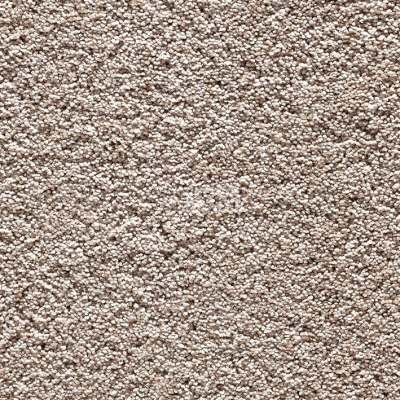 Ковролин Balta Gloriana 685 фото 1 | FLOORDEALER