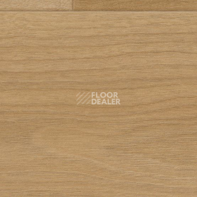Линолеум Taralay Initial Compact (wood) 0961 Bostonian Honey фото 1 | FLOORDEALER