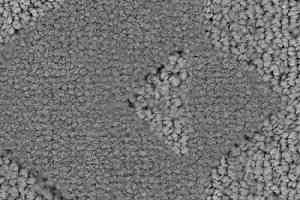 Ковролин Balsan Grand Hotel Chantilly 920 фото  | FLOORDEALER