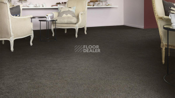 Vorwerk Superior 1041 Vorwerk 9f74 фото 2 | FLOORDEALER