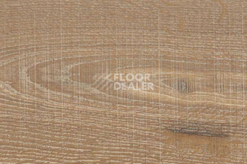 Пробковое покрытие Wood Xl замковое Japanese Oak Gaggy фото 1 | FLOORDEALER