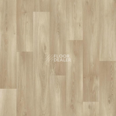 Линолеум Tarkett ENERGY Boil 2 фото 1 | FLOORDEALER