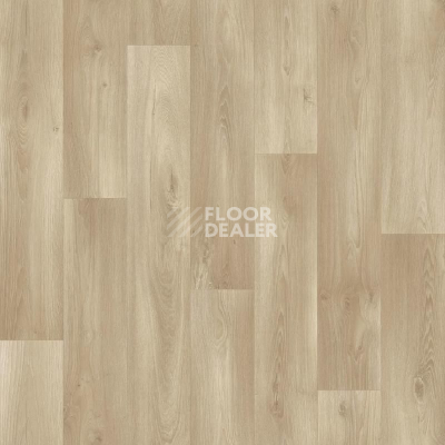 Линолеум Tarkett ENERGY Boil 2 фото 1 | FLOORDEALER