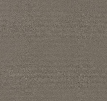 Ковролин Vorwerk Passion 1021 Vorwerk 5q01 фото 1 | FLOORDEALER